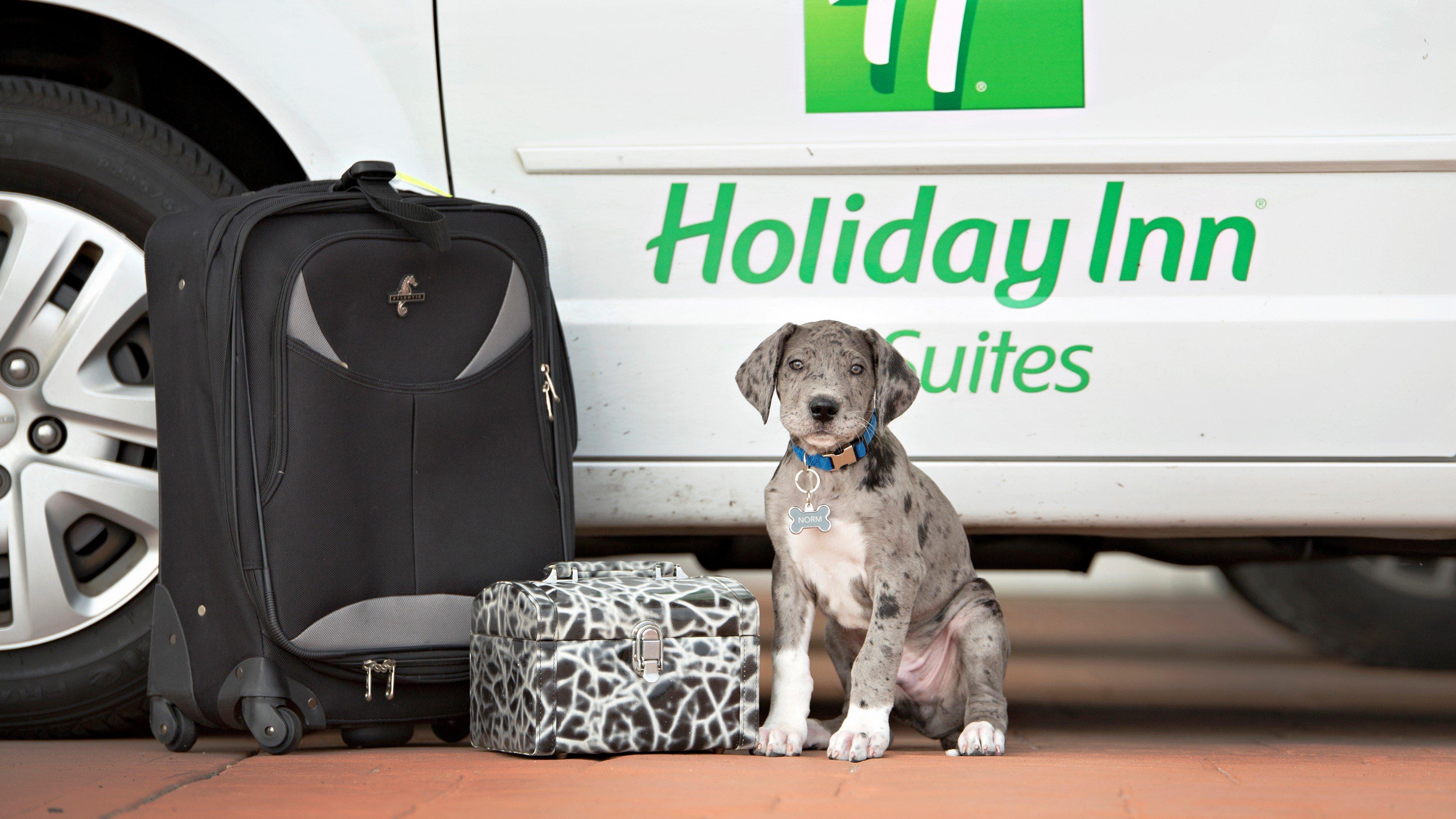 Holiday Inn Hotel & Suites Bloomington Airport By Ihg Εξωτερικό φωτογραφία